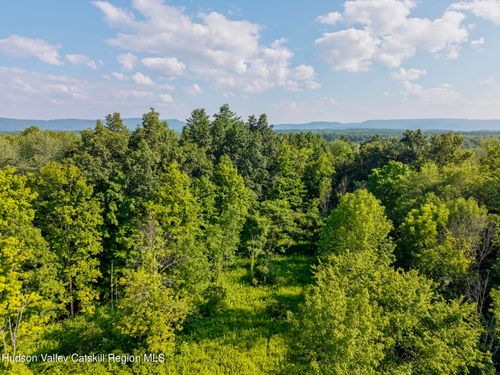 Tbd Cooper St, Stone Ridge, NY, 12484 | Card Image