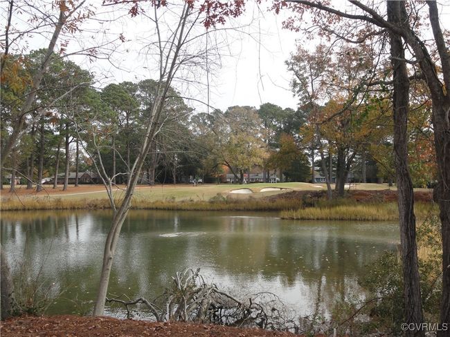 Second hole of the golf course. | Image 4