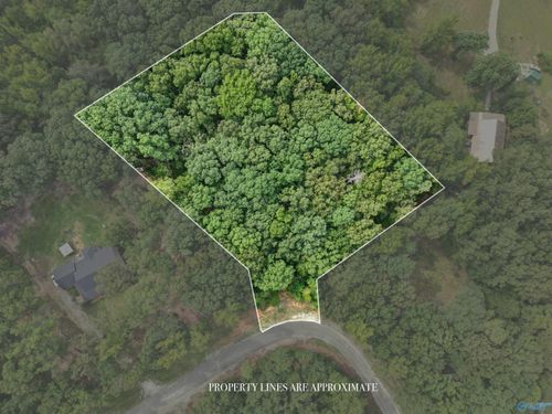 lot 14 County Road 379, Trinity, AL, 35673 | Card Image