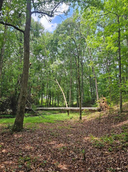 0 Pineywood Dr, Ringgold, GA, 30736 | Card Image