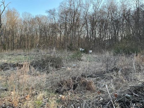 10801 Blackberry Hl, Cadet, MO, 63630-8422 | Card Image