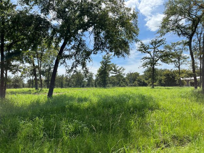 000 Hickory Loop, Home with 0 bedrooms, 0 bathrooms and null parking in Thornton TX | Image 4