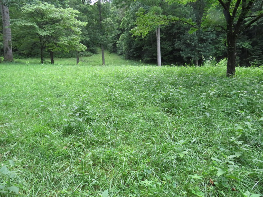 Land in Sylva 2