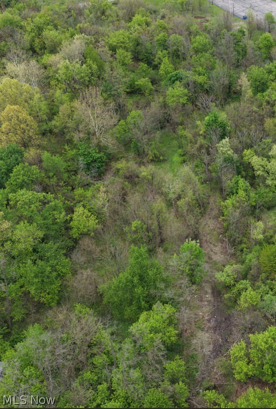 Land in Campbell 2
