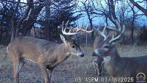 3175 Road P, Admire, KS, 66830-9158 | Card Image