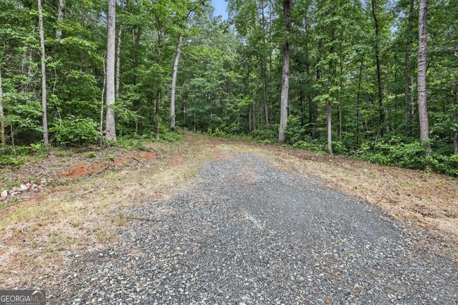 15 - 1323 Seven Forks Rd, Home with 0 bedrooms, 0 bathrooms and null parking in Martin GA | Image 4