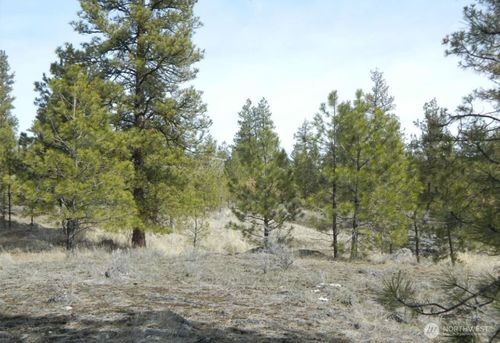 280 Reevas Basin Rd, Tonasket, WA, 98855 | Card Image