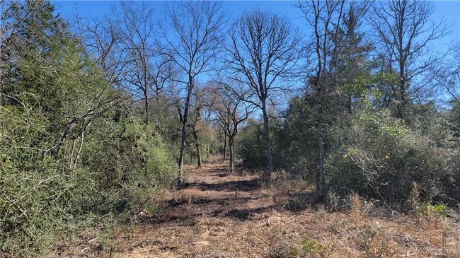 15 Old Hickory Grove Rd, House other with 4 bedrooms, 4 bathrooms and null parking in Franklin TX | Image 17