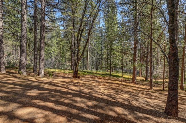 3025 Black Bear Dr, House other with 3 bedrooms, 3 bathrooms and null parking in Arnold CA | Image 51