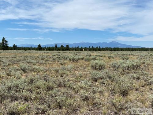 4335 Pine Grouse Rd, Island Park, ID, 83429 | Card Image