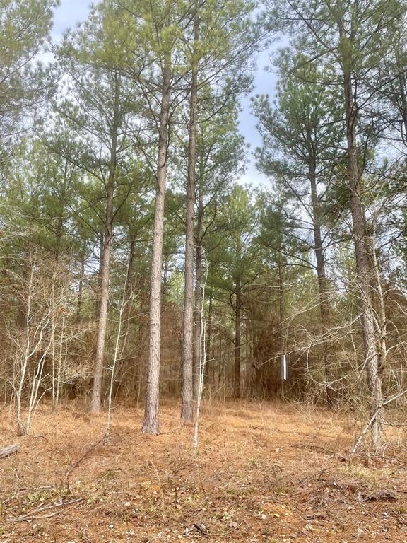Land in Broken Bow 3