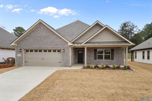 222 Soland Dr, Toney, AL, 35773-4005 | Card Image