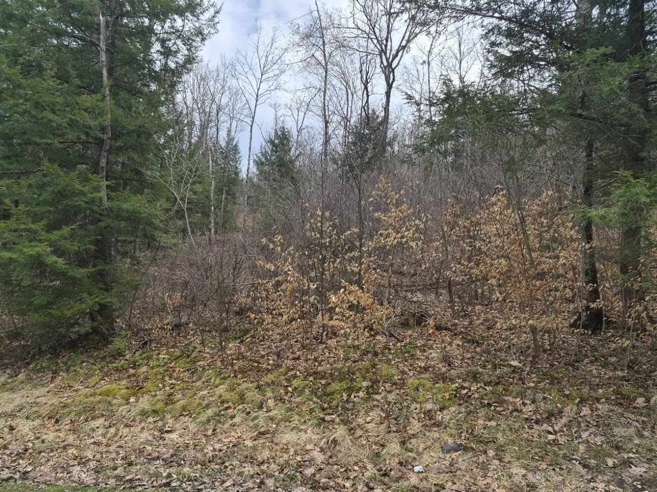 Land in Rockingham