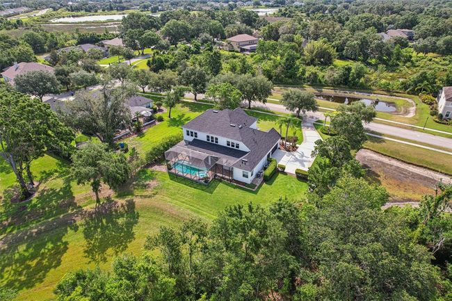 19803 Prince Benjamin Dr, House other with 5 bedrooms, 4 bathrooms and null parking in LUTZ FL | Image 51