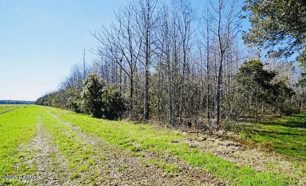 Land in Breaux Bridge 3