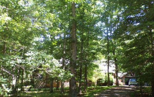 1045 Sweetens Cove Road, South Pittsburg, TN, 37380 | Card Image