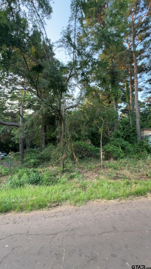 17214 Hillside Dr, Flint, TX, 75762-9385 | Card Image