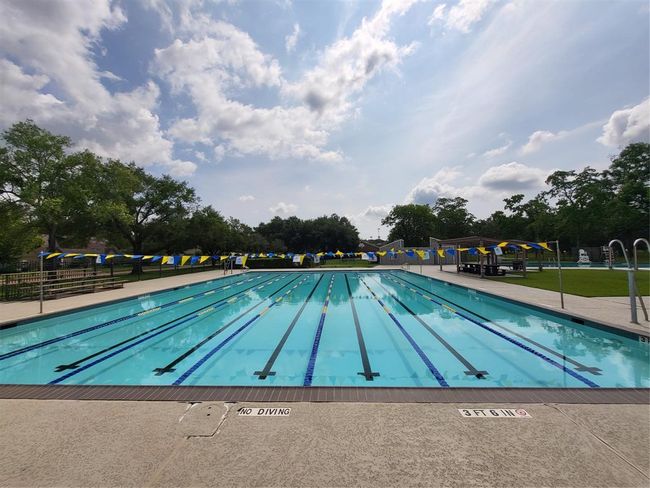 Lap pool. | Image 40