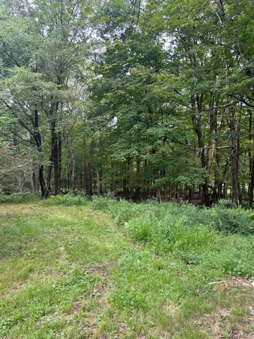 126 Downs Rd, Monticello, NY, 12701-3324 | Card Image