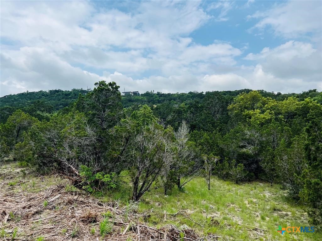 Land in Leander 2