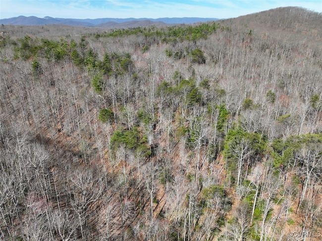 41.18 Acres (Off Of) Pole Bridge Rd, Home with 0 bedrooms, 0 bathrooms and null parking in Stuart VA | Image 30