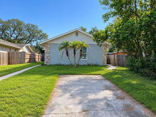 10417 N Hartts Dr, TAMPA, FL, 33617-3411 | Card Image
