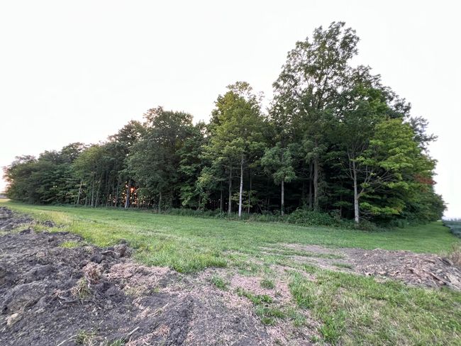 0 Norton Road, Home with 0 bedrooms, 0 bathrooms and null parking in Radnor OH | Image 35
