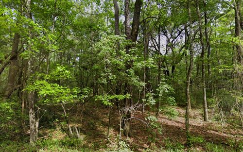 0 Ne Madison Bluffs Way, Lee, FL, 32059 | Card Image
