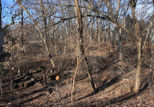 Lot 205 Shorewood Hills Rd, LAKE MILLS, WI, 53551-9770 | Card Image