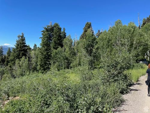 k-56-56 K Quaking Pine Cir, Fairview, UT, 84629 | Card Image