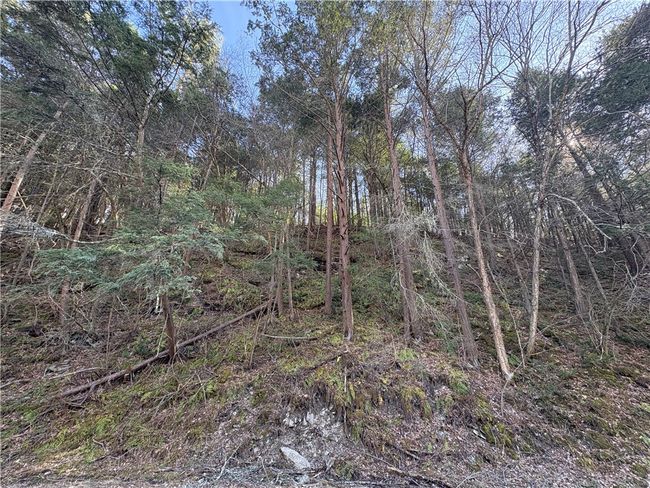 A - 9495 Morgan Creek Rd, House other with 4 bedrooms, 1 bathrooms and null parking in Lindley NY | Image 7