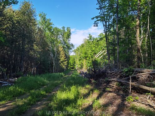 199 Hoffman Rd, Killaloe, ON, K0J2A0 | Card Image