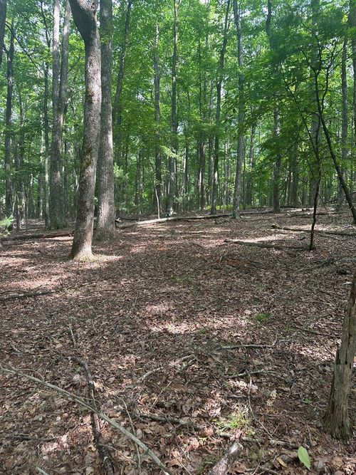 TBD Forest Green Dr, Galax, VA, 24333 | Card Image