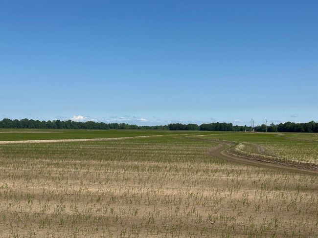 0 Ukena Rd, Home with 0 bedrooms, 0 bathrooms and null parking in Weiner AR | Image 15