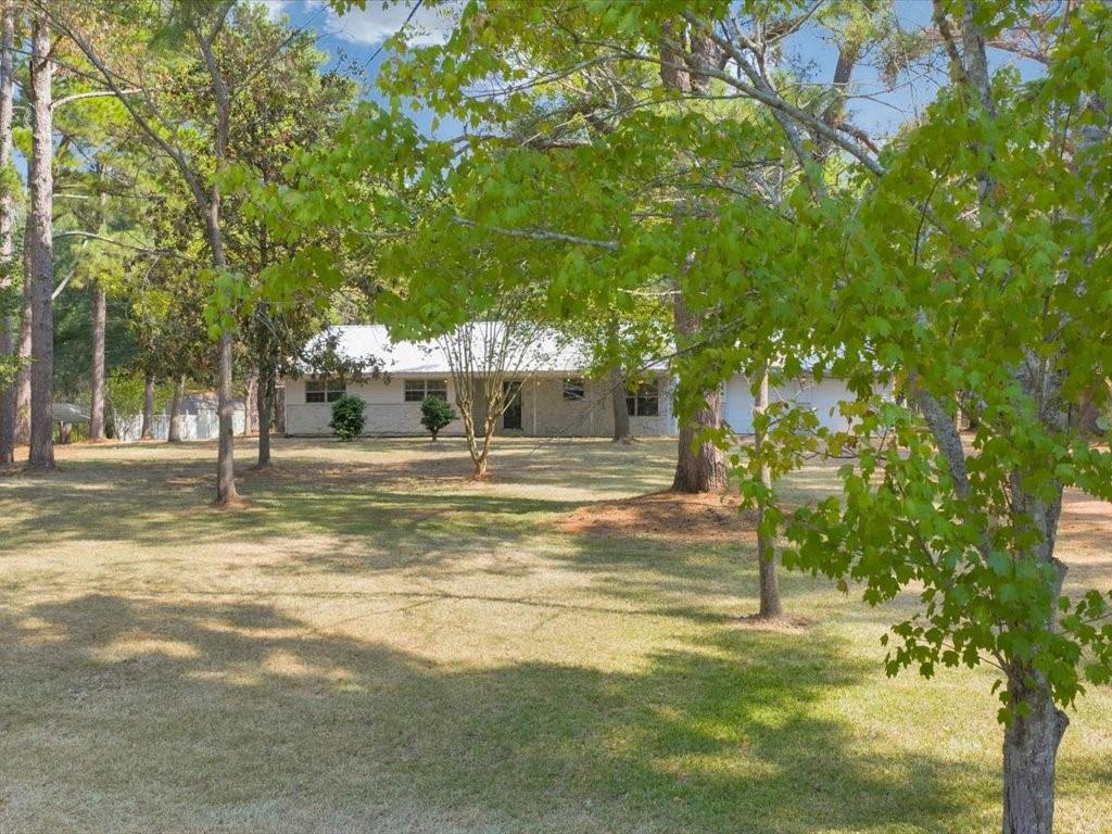 Farm in Nacogdoches 4