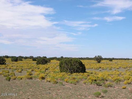 --206-10-409 Bar Nothing Ranch Road, Chambers, AZ, 86502 | Card Image