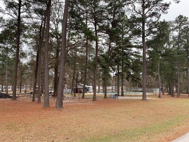 Community Pool & Park | Image 4