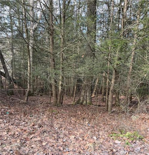 5-2287 Locust Ridge Rd, Pocono Lake, PA, 18347-8077 | Card Image