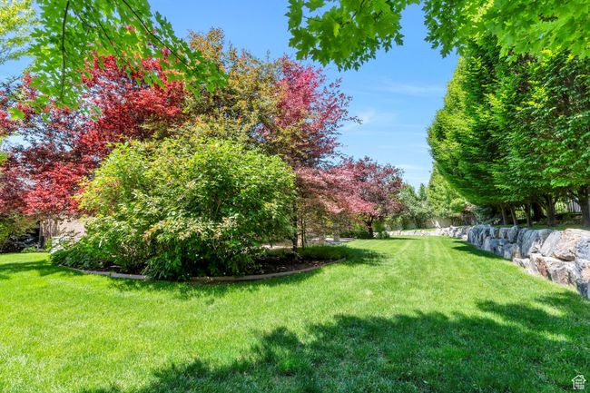 View of grassy yard | Image 4