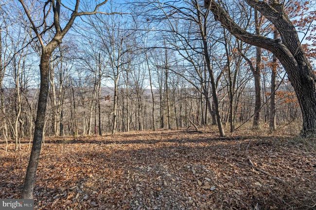 LOT 4 Back Creek Rd, Home with 0 bedrooms, 0 bathrooms and null parking in GORE VA | Image 9