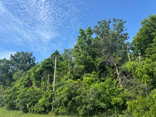 Vacant Land Us Highway 41, Lake Village, IN, 46349 | Card Image