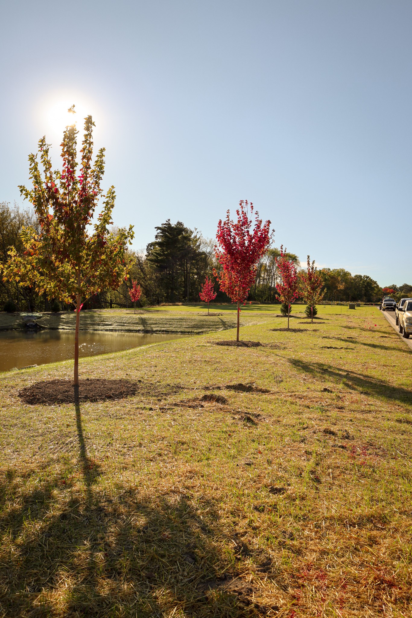 Residential in Amery 5