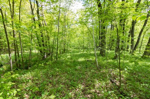 15 133rd St, AMERY, WI, 54001 | Card Image