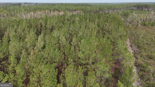 0 Thorn Bird Rd, Millwood, GA, 31552 | Card Image