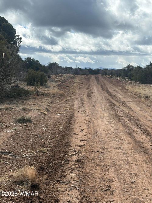 3A Concho Hwy, Concho, AZ, 85924 | Card Image