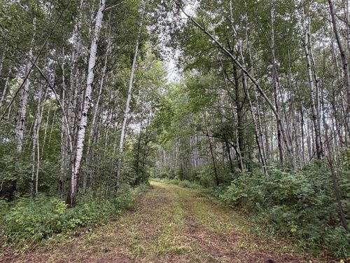 TBD County Road 12, Moose Lake, MN, 55767 | Card Image