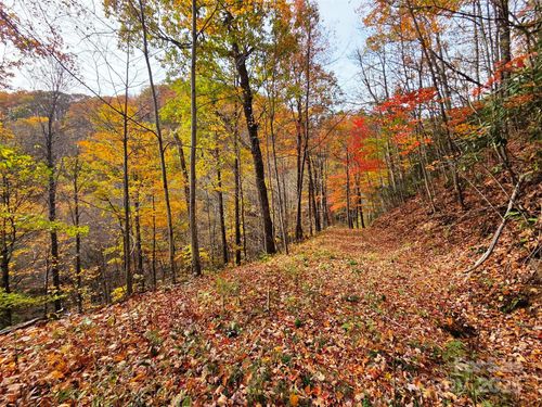 355 Moonshineholler Dr, Maggie Valley, NC, 28751 | Card Image