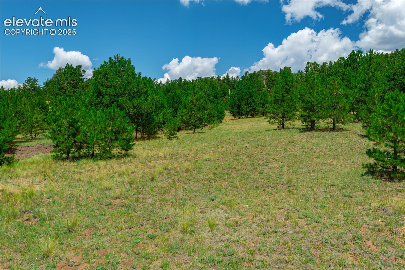 Land in Cripple Creek 3