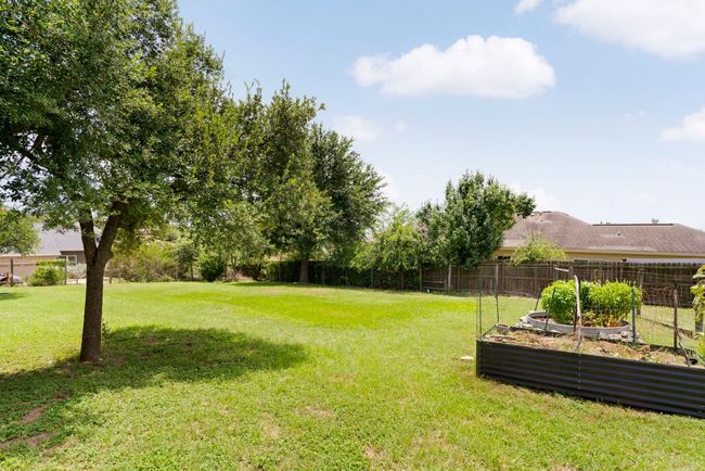 Raised beds, native trees, and wide-open skies. | Image 9