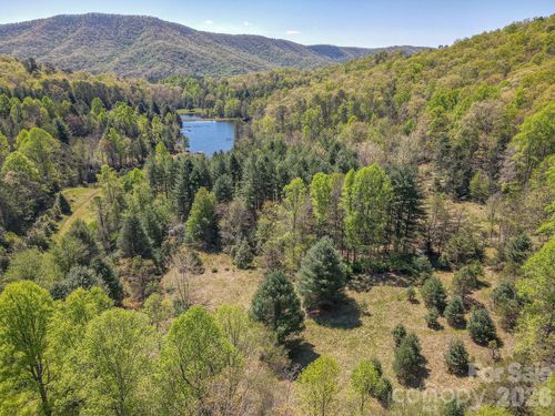 000 Davey Branch Rd, Horse Shoe, NC, 28742 | Card Image